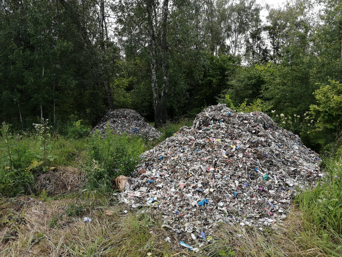 Леса Московской области очистят более чем от 100 стихийных свалок