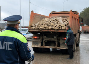 Более 1300 кубометров мусора пытались сбросить в Московской области